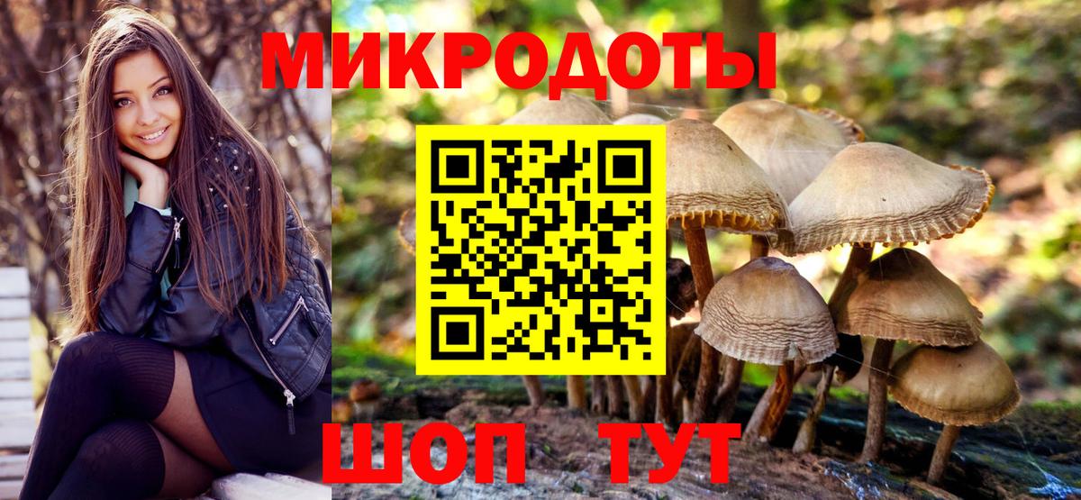 Псилоцибиновые грибы Psilocybe  Вход с VPN  где купить   Ростов Великий  Псилоцибиновые грибы мицелий 